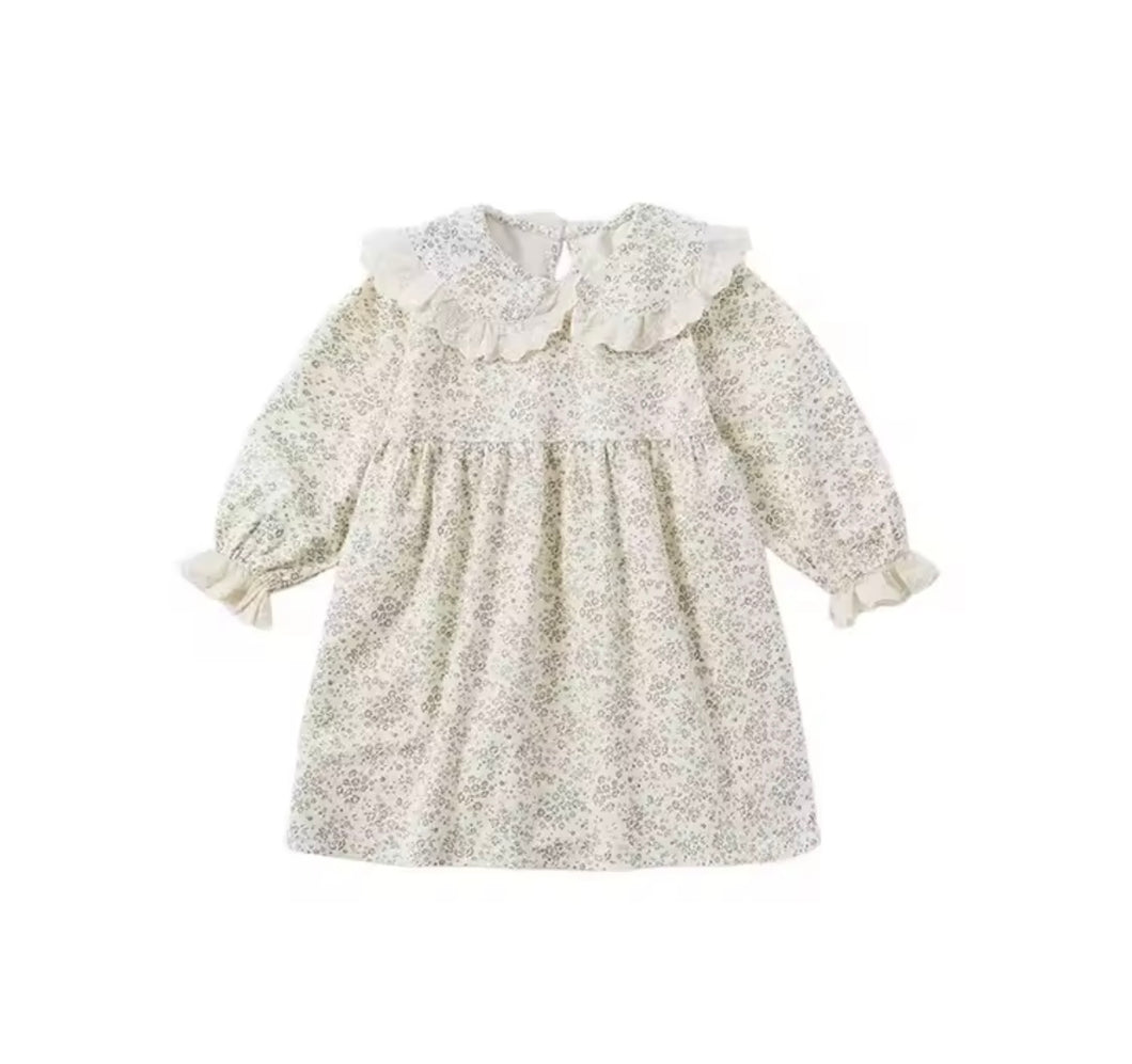 Brushed cotton cream  large collar dress