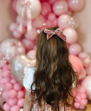 Load image into Gallery viewer, Blush Velvet hair clip
